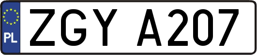 ZGYA207