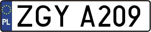ZGYA209