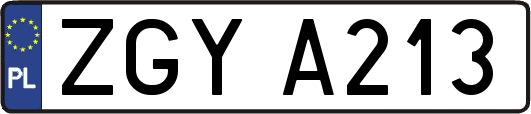 ZGYA213