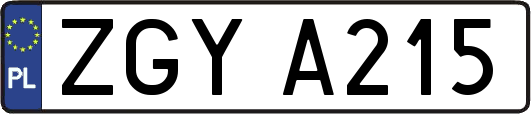 ZGYA215