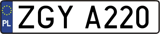 ZGYA220