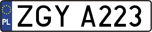 ZGYA223