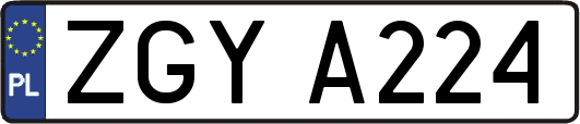 ZGYA224