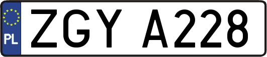 ZGYA228