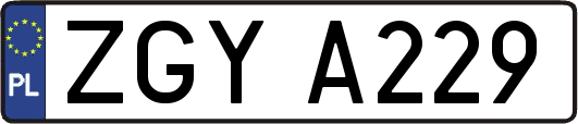 ZGYA229