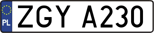 ZGYA230