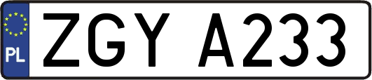 ZGYA233