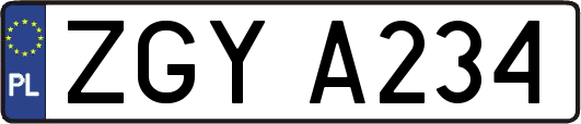 ZGYA234