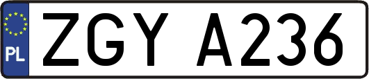 ZGYA236