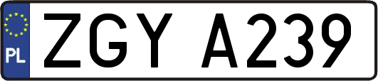 ZGYA239