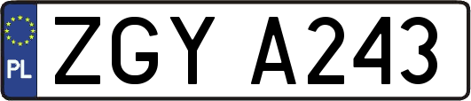 ZGYA243
