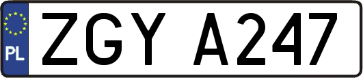 ZGYA247