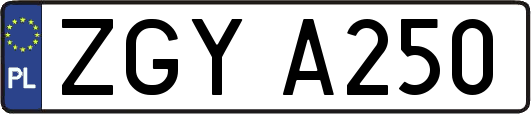 ZGYA250