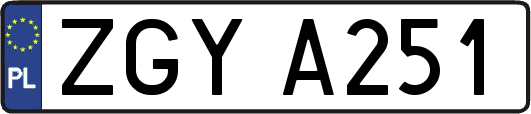 ZGYA251