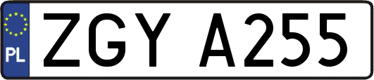 ZGYA255