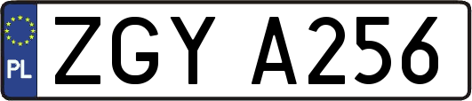 ZGYA256