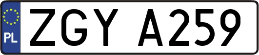 ZGYA259