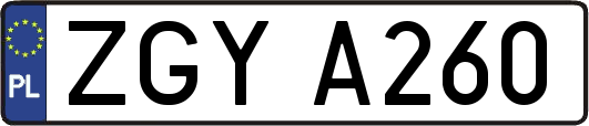 ZGYA260