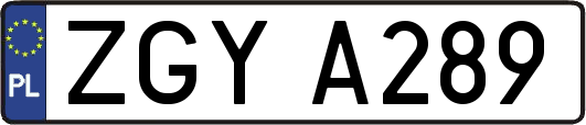 ZGYA289