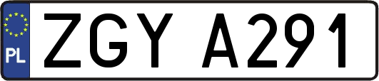 ZGYA291