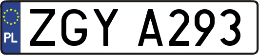 ZGYA293