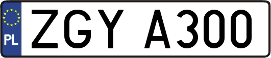 ZGYA300