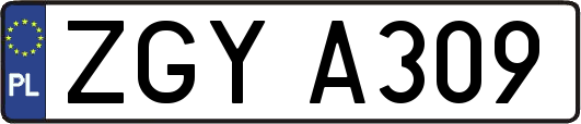 ZGYA309