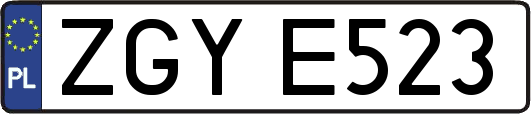 ZGYE523