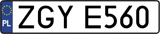 ZGYE560