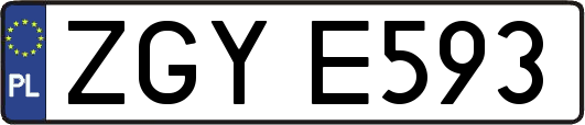 ZGYE593