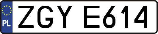 ZGYE614
