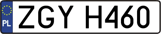 ZGYH460