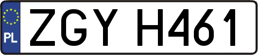 ZGYH461