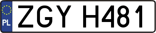 ZGYH481
