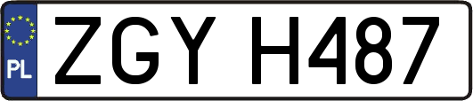 ZGYH487