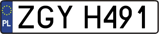 ZGYH491