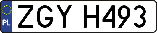 ZGYH493