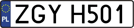 ZGYH501