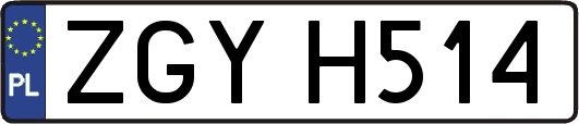 ZGYH514