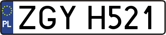 ZGYH521