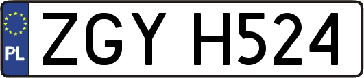 ZGYH524