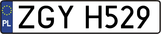 ZGYH529