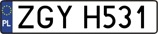 ZGYH531