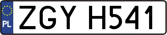 ZGYH541