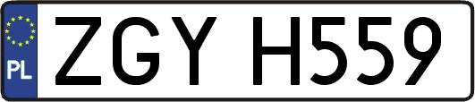 ZGYH559