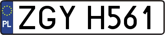 ZGYH561