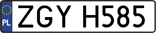 ZGYH585