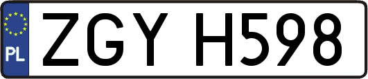 ZGYH598