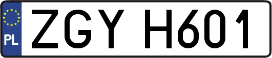 ZGYH601