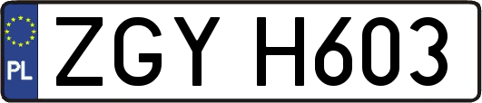 ZGYH603